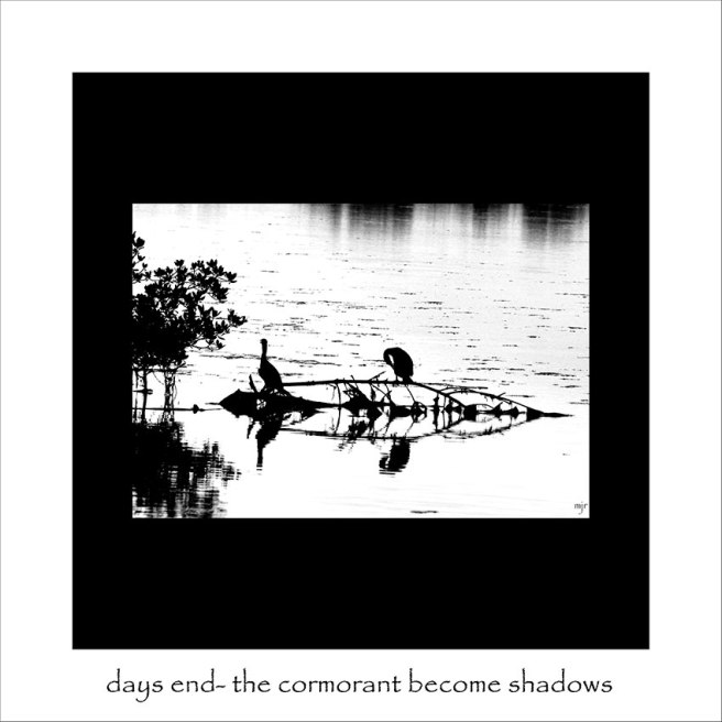becomingshadows