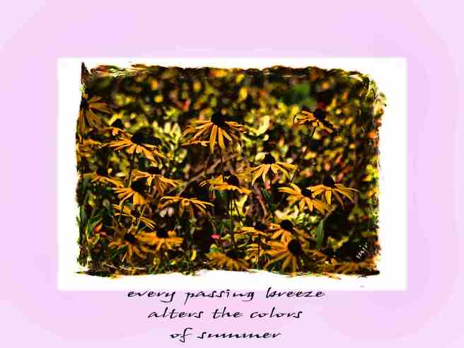 everypassingbreezehaiga