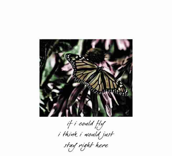 stayrightherhaiga
