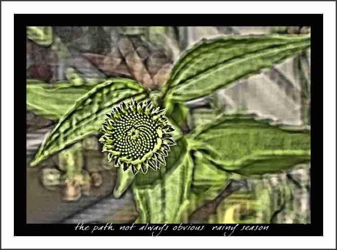 thepathnotobvioushaiga