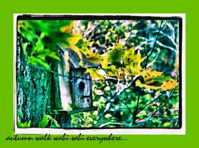 birdhouseautumn