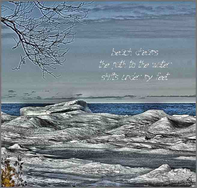 beachdreamhaiga