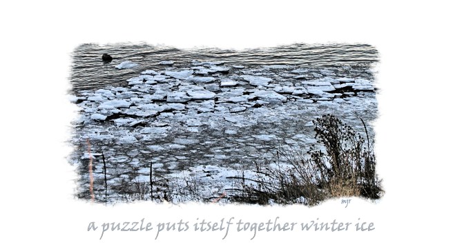 puzzlewintericehaiga