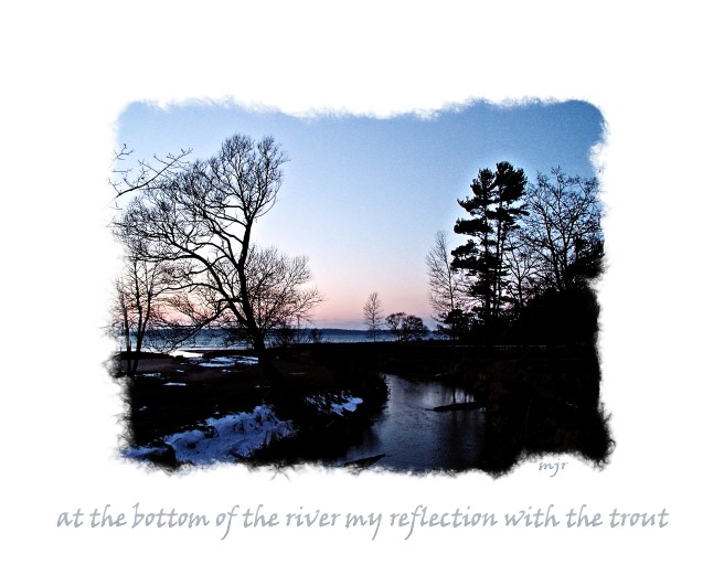 reflectionsoftrouthaiga