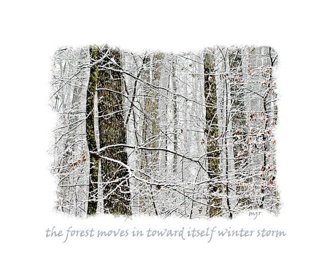 winterstormhaiga