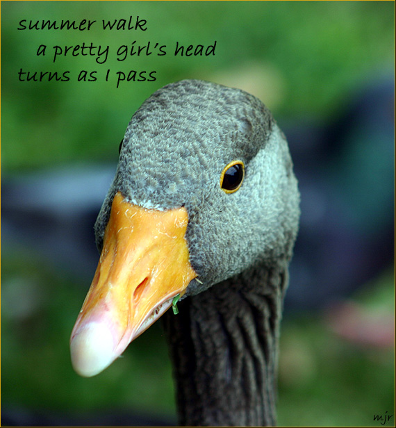 asipass (2018_05_07 17_24_09 UTC)