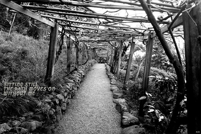 hakoneBW2 (2017_10_29 18_53_40 UTC)