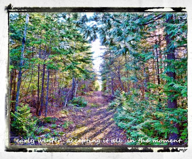 acceptingitallhaiga (2017_10_29 22_38_32 UTC).jpg