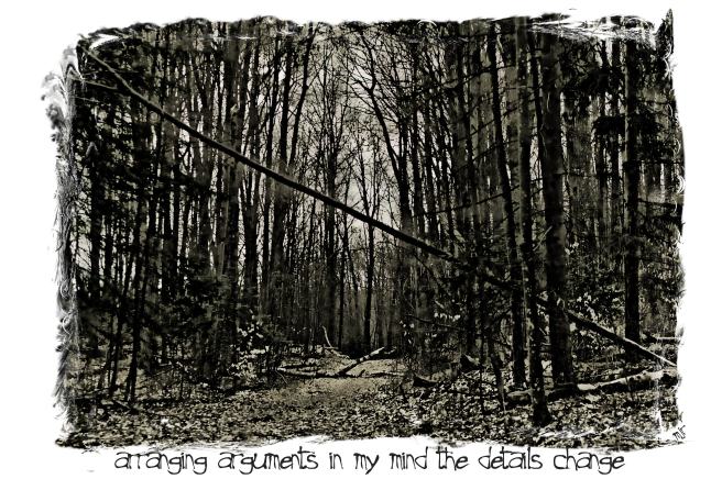 arangingargumentshaiga (2017_10_29 18_53_40 UTC)