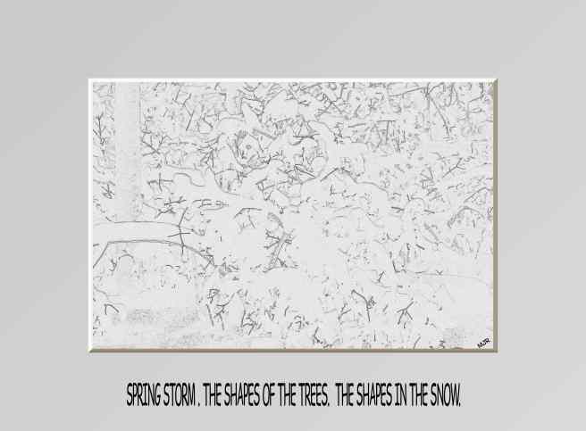 bowingbranch (2017_10_29 18_53_40 UTC)