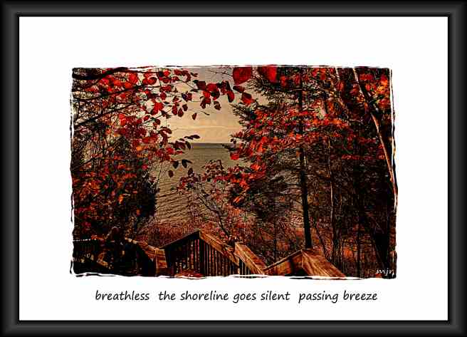 breathlesshaiga (2017_10_29 18_53_40 UTC)