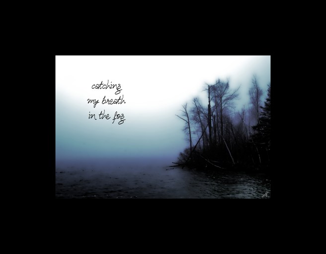 catchingmybreathhaiga (2017_10_29 22_38_32 UTC)